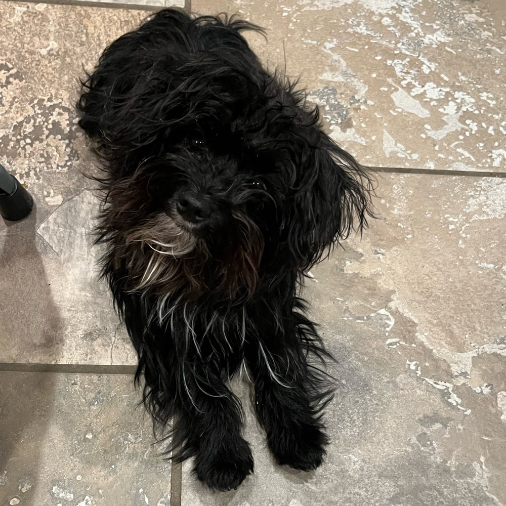 Meet your Posher, Lely